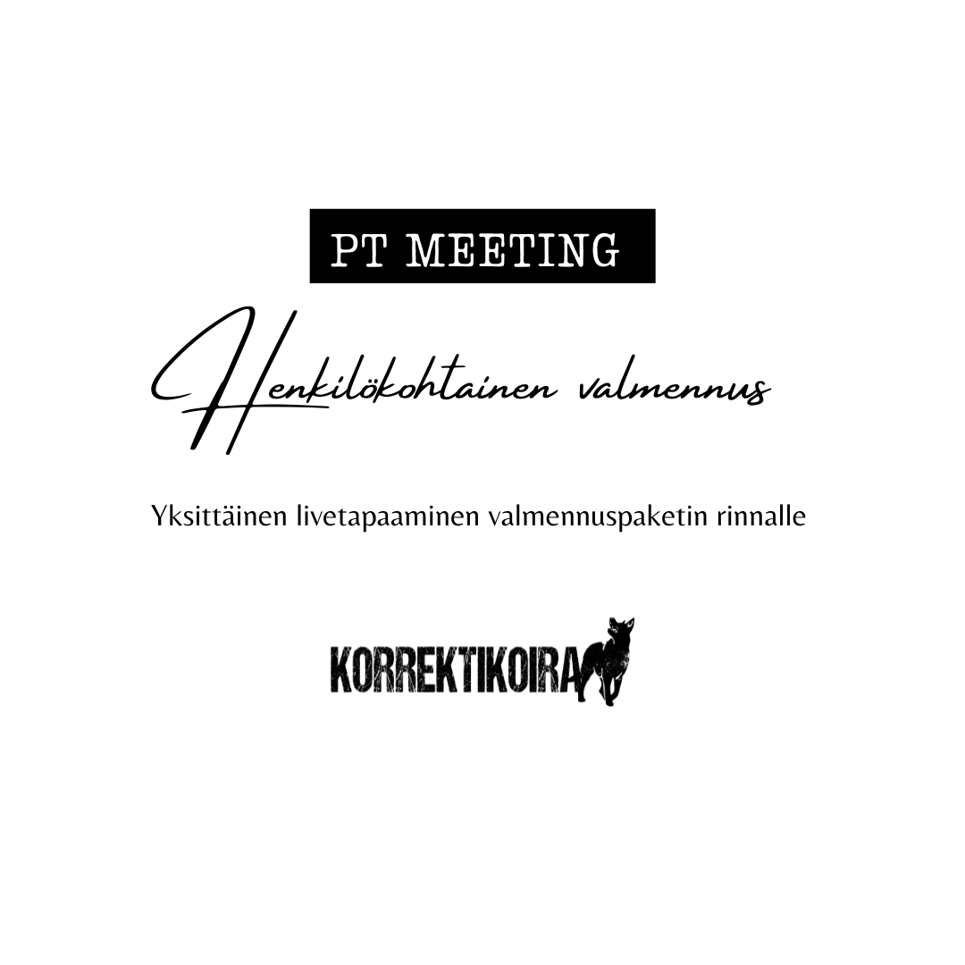 PT MEETING (livenä, lisäpalvelu)